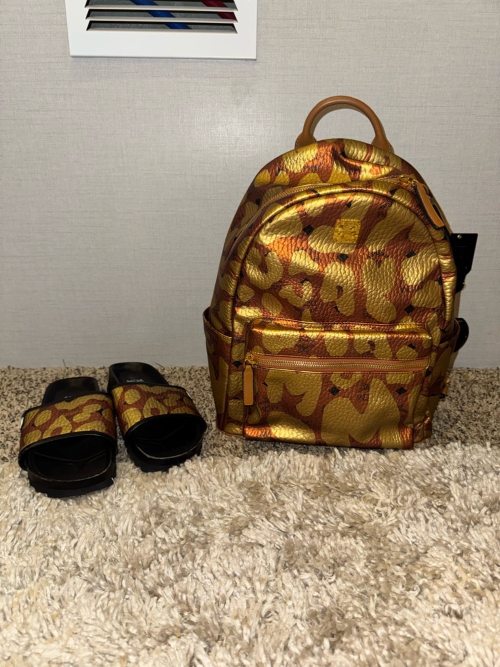 Mcm back pack and slides set